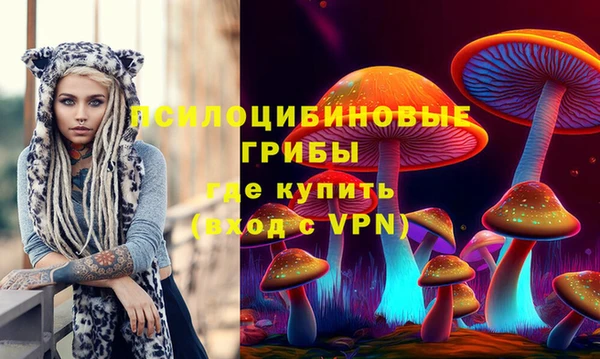 a pvp Богородск