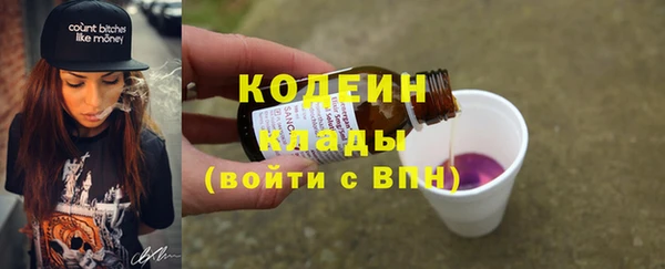 мдпв Богданович