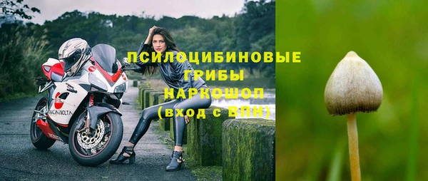 мдма Богородицк