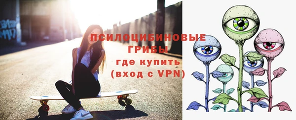 a pvp Богородск