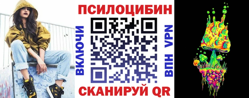 мега ONION купить наркотики сайты Барыш Галлюциногенные грибы Psilocybine cubensis